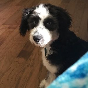 Meet your Posher, Julie